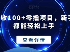 轻松日收100+零撸项目,新手小白都能轻松上手