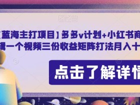 【蓝海主打项目】多多v计划+小红书商单,AI剪辑一个视频三份收益矩阵打法月入十万【揭秘】