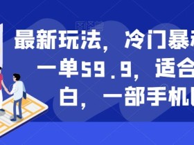 最新玩法,冷门暴利项目,一单59.9,适合0基础小白,一部手机即可操作【揭秘】