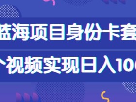 小众蓝海项目,身份卡套自带流量,一个视频实现日入1000+