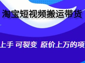 人人可做,通过全自动化软件搬运视频到淘宝卖货,轻松月入过万,可裂变