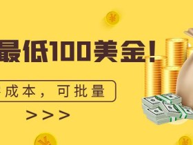 单号最低100美金,零成本,小白无脑操作,可复制,可扩大
