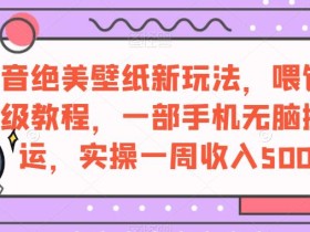 抖音绝美壁纸新玩法,喂饭级教程,一部手机无脑搬运,实操一周收入5000【揭秘】