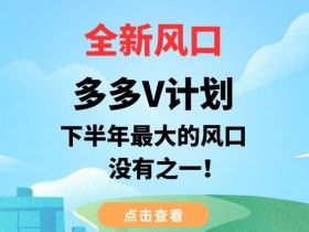 全新风口,多多V计划,下半年最大的风口项目,没有之一【揭秘】