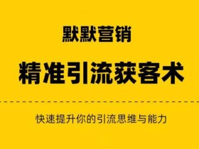 默默营销·精准引流+私域营销+逆袭赚钱(三件套)快速提升你的赚钱认知与营销思维