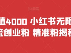 首发价值4000 小红书无限艾特暴力引流创业粉 精准粉揭秘教程