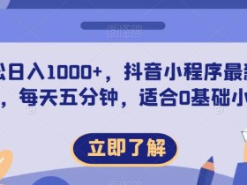 轻松日入1000+,抖音小程序最新思路,每天五分钟,适合0基础小白【揭秘】