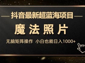 抖音最新超蓝海项目,魔法照片,无脑矩阵操作,小白也能日入1000+【揭秘】