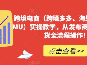 跨境电商(跨境多多、海外版多多TEMU)实操教学,从发布商品到售卖发货全流程操作!