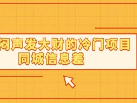 一个闷声发大财的冷门项目同城信息差
