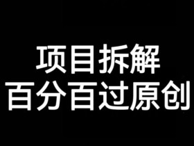 项目拆解赛道百分百过原创【揭秘】
