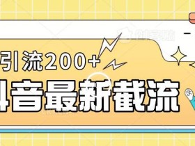 抖音截流最新玩法,只需要改下头像姓名签名即可,日引流200+【揭秘】