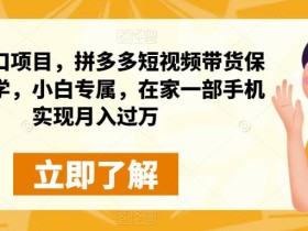 蓝海风口项目,拼多多短视频带货保姆级教学,小白专属,在家一部手机实现月入过万