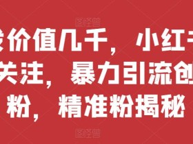 首发价值几千,小红书无限关注,暴力引流创业粉,精准粉揭秘