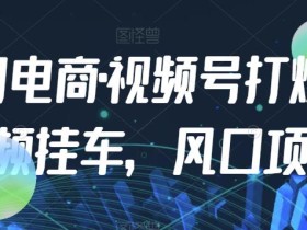 九门电商·视频号打爆短视频挂车,风口项目
