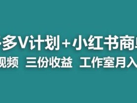 【蓝海项目】多多v计划+小红书商单一个视频三份收益工作室月入10w