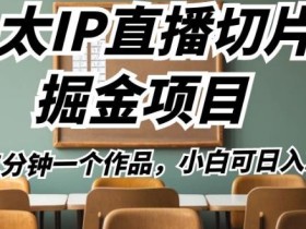 b太IP直播切片掘金项目,五分钟一个作品,小白可日入2000+【揭秘】