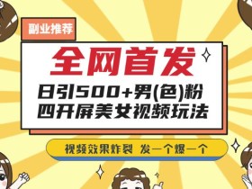 全网首发,日引500+男粉美女视频四开屏玩法,发一个爆一个【揭秘】