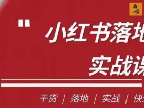 南悟·小红书医疗流量落地实战课,干货/落地/实战/快速上手