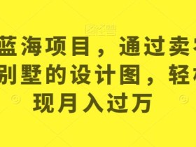 最新蓝海项目,通过卖农村自建别墅的设计图,轻松实现月入过万【揭秘】