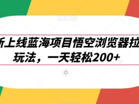 最新上线蓝海项目悟空浏览器拉新玩法,一天轻松200+