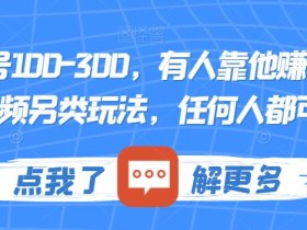 一个账号100-300,有人靠他赚了30多万,中视频另类玩法,任何人都可以做到【揭秘】