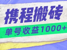 携程搬砖新玩法,单号收益1000+