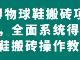 得物球鞋搬砖项目,全面系统得物球鞋搬砖操作教程【揭秘】