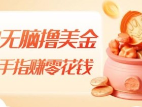 小白无脑撸美金,动动手指赚零花钱,轻松上手