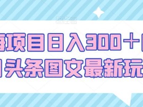 蓝海项目日入300+的今日头条图文最新玩法