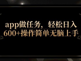 app做任务,轻松日入600+操作简单无脑上手