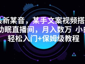 最新抖音快手文案视频搭配助眠直播间,月入数万,小白轻松入门+保姆级教程