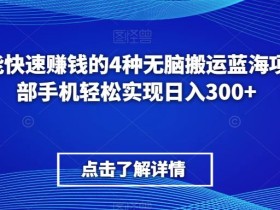 新手也能快速赚钱的4种无脑搬运蓝海项目,一部手机轻松实现日入300+