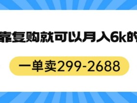 一单卖299-2688,一个靠复购就可以月入6k的暴利项目【揭秘】