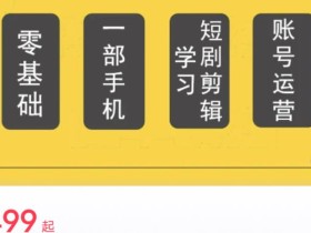 短剧另类新赛道剪辑解说课萱萱实操班(29节)