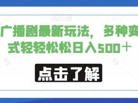 小说广播剧最新玩法,多种变现方式轻轻松松日入500+【揭秘】