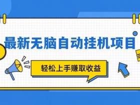 全新自动挂机项目,轻轻松松就能赚取收益