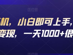 一部手机,小白即可上手,虚拟资源变现,一天1000+很轻松