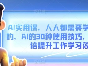 AI实用课,人人都需要学会的,AI的30种使用技巧,数倍提升工作学习效率