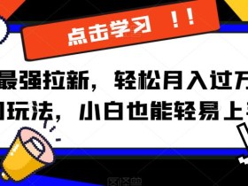 京喜最强拉新,轻松月入过万,偏门玩法,小白也能轻易上手【揭秘】