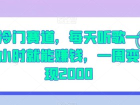 冷门赛道,每天听歌一小时就能赚钱,一周变现2000【揭秘】