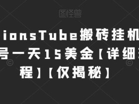 国外VisionsTube搬砖挂机项目,号称单号一天15美金【详细玩法教程】【仅揭秘】