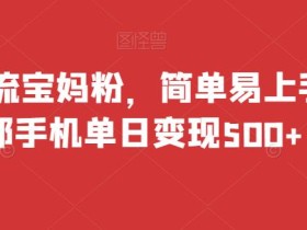 精准引流宝妈粉,简单易上手,一部手机单日变现500+
