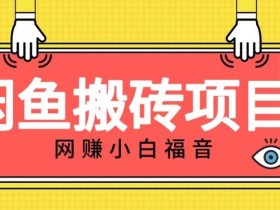 适合新手的咸鱼搬砖项目,日入50-100+,每天搞点零花钱