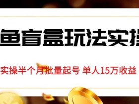 独家首发咸鱼盲盒玩法实操,半个月批量起号单人15万收益【揭秘】