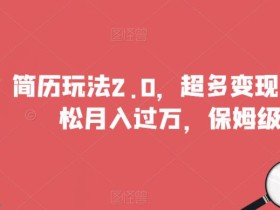 简历玩法2.0,超多变现方式,轻松月入过万,保姆级教学【揭秘】