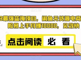 2023最强蓝海项目,闲鱼无货源电商,无风险易上手月赚10000,见效快