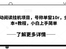 全自动阅读挂机项目,号称单窗10r,全套脚本+教程,小白上手简单