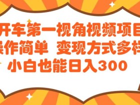 开车第一视角视频项目操作简单变现方式多样小白也能日入300
