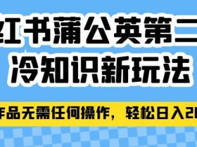 小红书蒲公英第二弹冷知识新玩法,照搬作品无需任何操作,轻松日入2000+【揭秘】